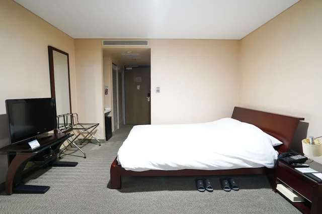 غرفة سوبيريور بسرير مزدوج، Gumi Century Hotel 4/7