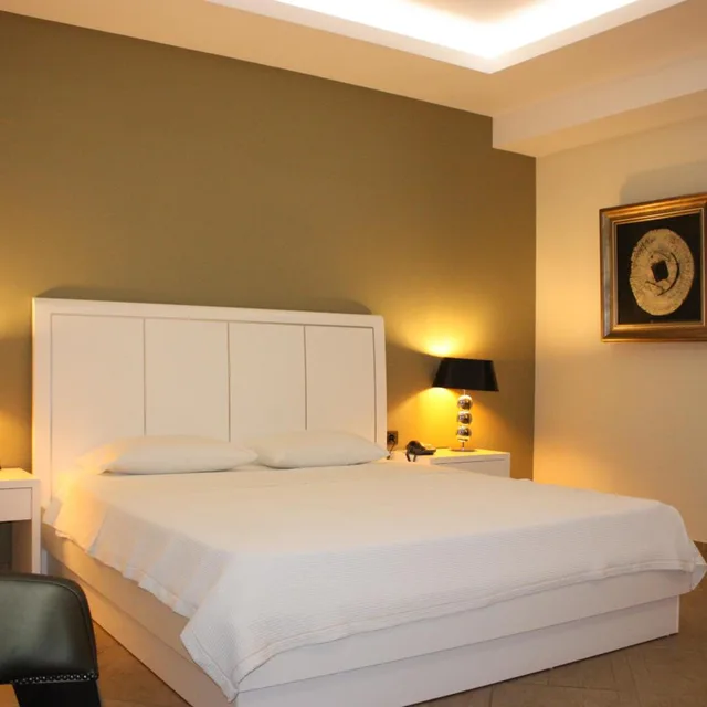 Deluxe, Double or Twin Bed, Cariatis Hotel 1/10
