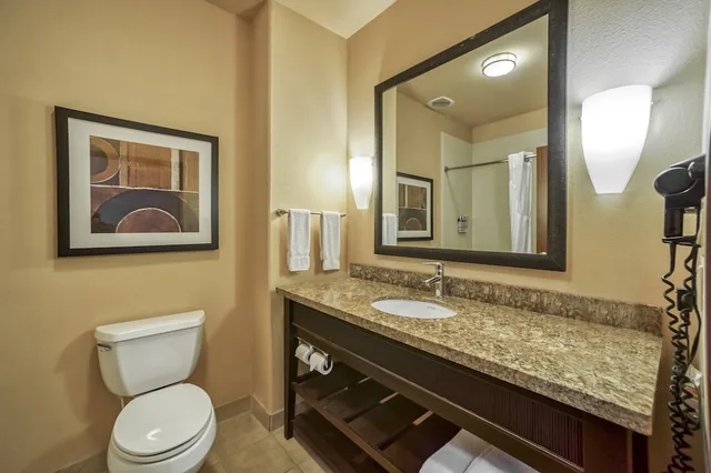 غرفة قياسية بسرير كينج مع أريكة لذوي الإعاقة، Holiday Inn Express Suites Beeville 8/10
