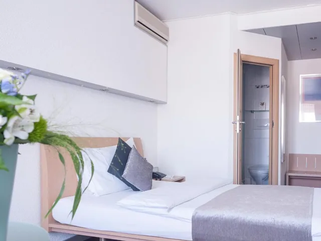 غرفة مفردة بريميوم، Hotel Krone Unterstrass 2/3