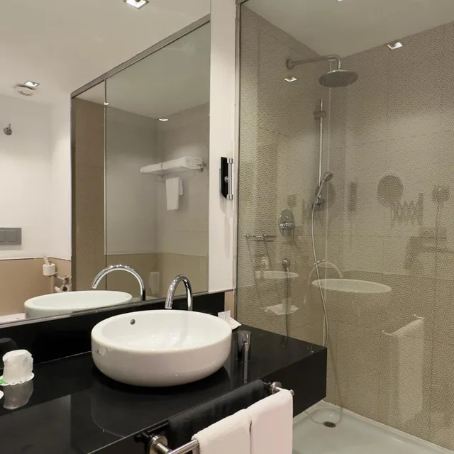 غرفة بسرير مزدوج أو سريرين منفصلين، Hotel Palacio Albacete and Spa 10/10