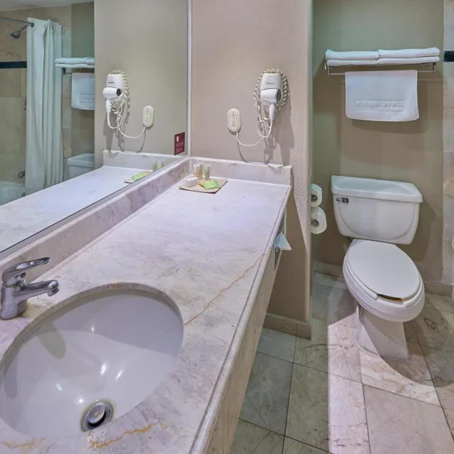 جناح بسرير مزدوج، City Express Suites by Marriott San Luis Potosi 8/9