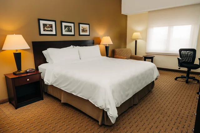 غرفة قياسية بسرير كينج، Holiday Inn San Salvador An Ihg Hotel 10/10