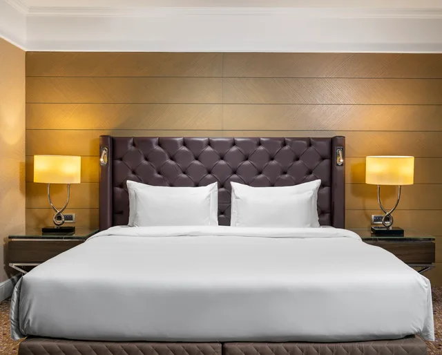 غرفة تنفيذية مفردة، RADISSON BLU HOTEL ISTANBUL SISLI 3/4