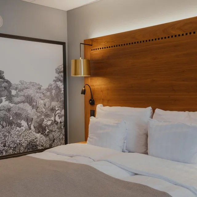 غرفة سوبيريور بسرير مزدوج، Home Hotel Temperance 9/10