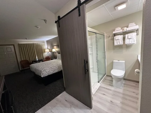 غرفة قياسية بسرير كينج بشرفة، Roosevelt Inn Mount Rushmore 8/9