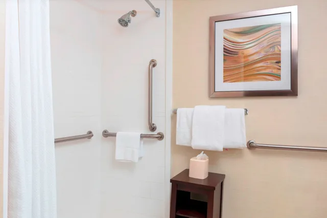 غرفة قياسية بسرير كينج مع أريكة لذوي الإعاقة، Courtyard Killeen 2/3