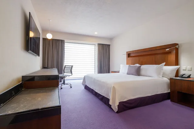 غرفة قياسية مفردة، Camino Real Pedregal 2/8