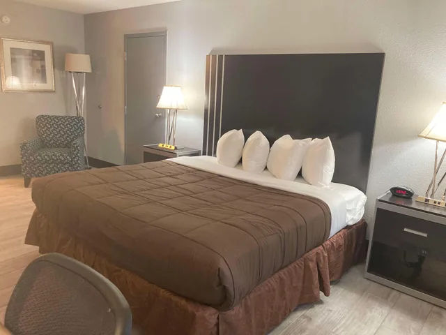 غرفة بسرير كينج يُسمح فيها بالحيوانات الأليفة، Best Western Plus Reading Inn & Suites 2/4