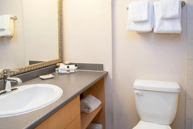 جناح بغرفة نوم واحدة، Sandman Suites Vancouver Davie Street 8/9