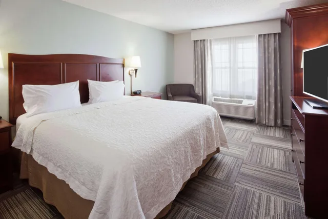 جناح بسرير كينج بإطلالة على البحيرة بغرفة نوم واحدة بحوض جاكوزي، Hampton Inn Duluth Canal Park 1/2