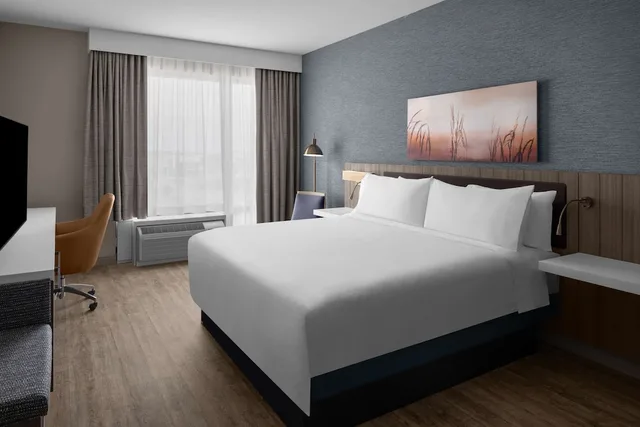 جناح رئاسي بسرير كينج، Hilton Garden Inn Grand Prairie at EpicCentral 1/2