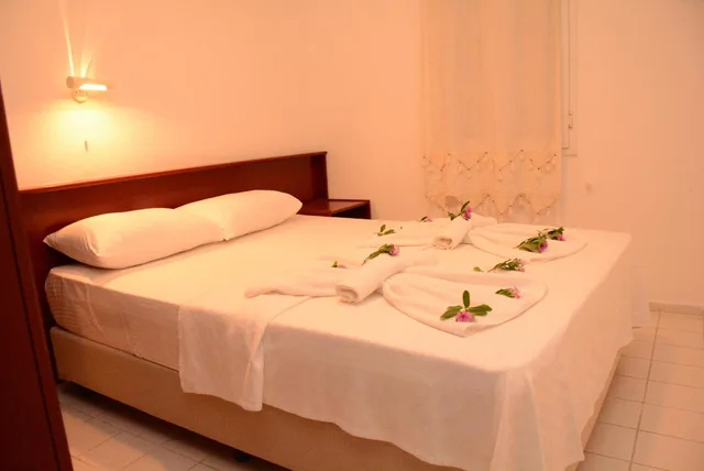 شقة بغرفة نوم واحدة، Villa Nergis Apartments 2/10