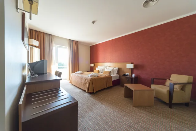 غرفة قياسية مفردة بسرير فردي، Hotel Lusitania Congress Spa 5/5