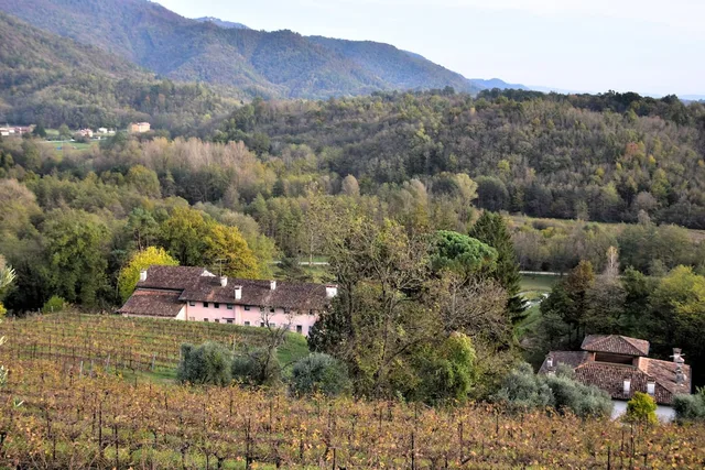 Tenuta Valdomini، Udine 36/50