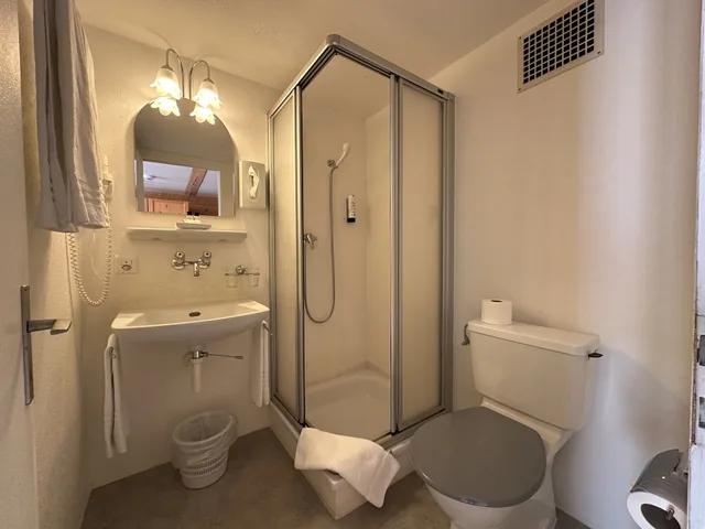 غرفة قياسية بسريرين منفصلين، Chalet Swiss Hotel 4/4