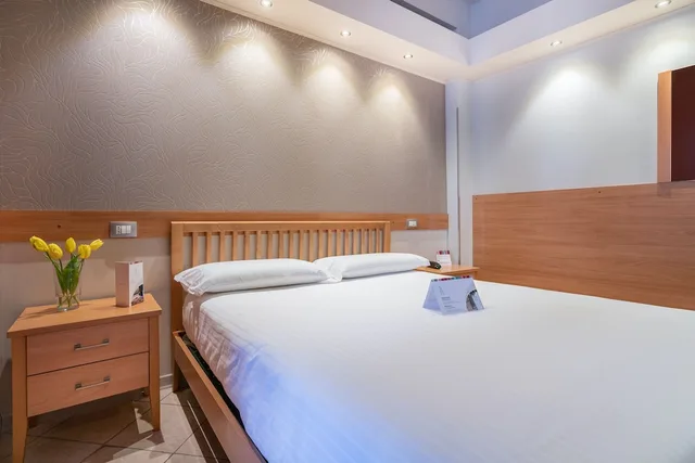 غرفة قياسية مفردة بسرير كينج، Hotel Palace 3/4
