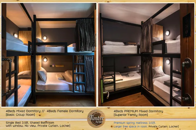 سكن مشترك مختلط ديلوكس بأربعة أسرّة، Timber Hostel 2/2