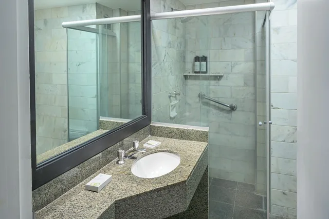 Plus, Superior, 2 Double Beds، Bourbon Curitiba Hotel & Suites 6/8