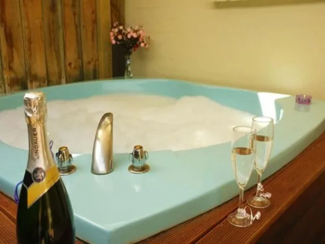 غرفة قياسية بغرفة نوم واحدة بجاكوزي، Birchwood Spa Motel 2/2