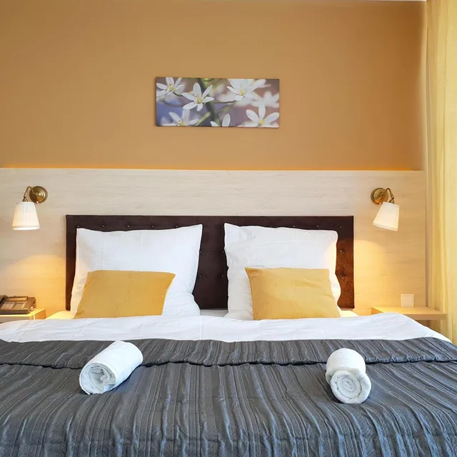 Deluxe, Double Bed, Bathtub, Hotel Denbu 9/10