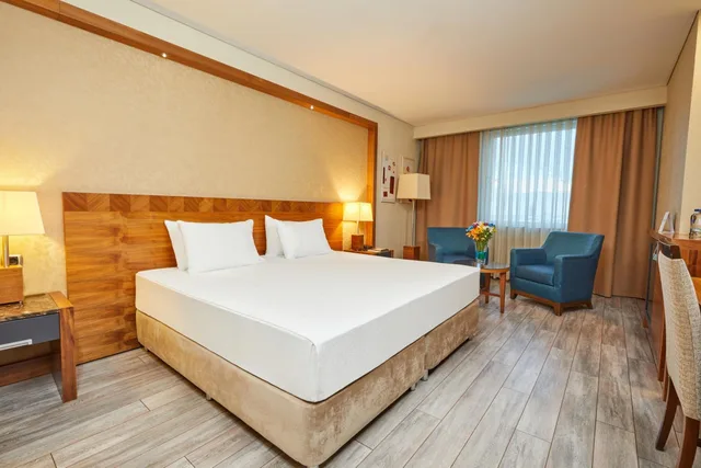 غرفة سوبيريور مفردة، Dedeman Konya Hotel & Convention Center 3/5