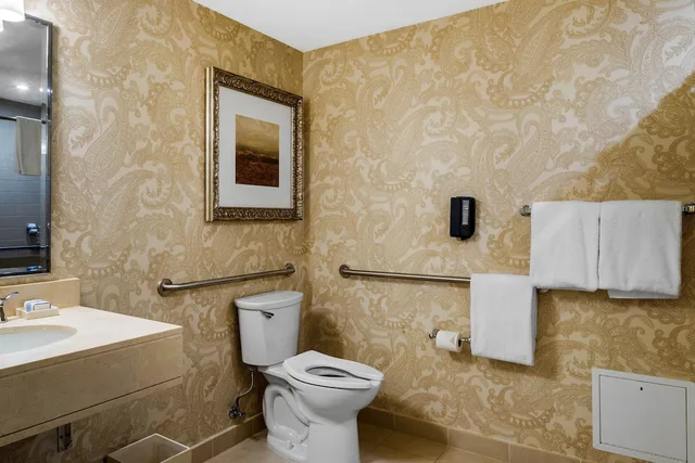 غرفة سيغنتشر بريميير بسرير كينج لذوي الإعاقة، Omni Houston Hotel 8/10