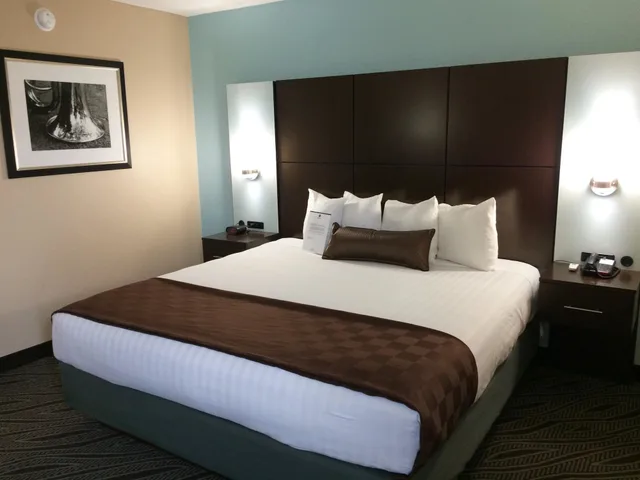 غرفة قياسية بسرير كينج، Best Western Plus Galleria Inn & Suites, Memphis TN 2/2