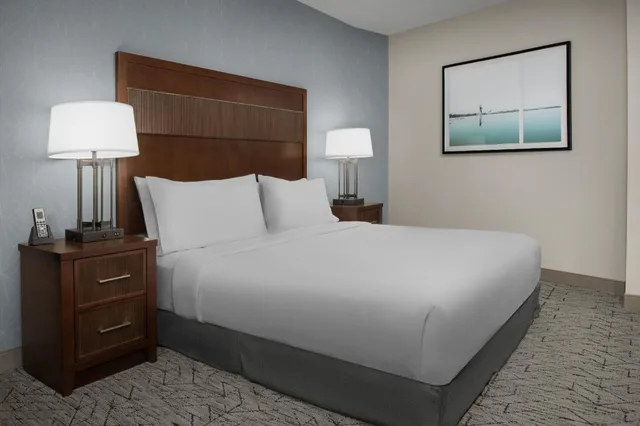 جناح بسرير كينج بغرفتين مع أريكة بمطبخ لذوي الإعاقة، Embassy Suites Springfield 1/5