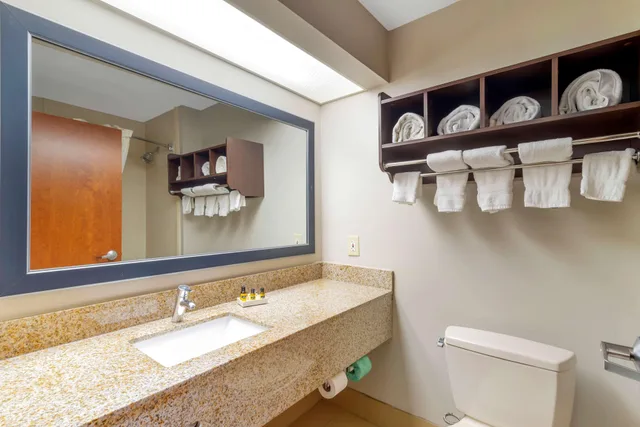 غرفة بسرير كينج لذوي الإعاقة، Best Western Plus McDonough Inn & Suites 6/7