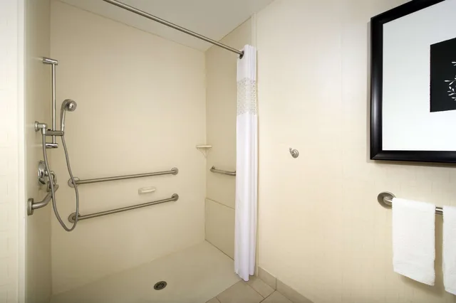 جناح بسرير كينج مع أريكة لذوي الإعاقة، Hampton Inn & Suites Chicago Southland Matteson 4/4