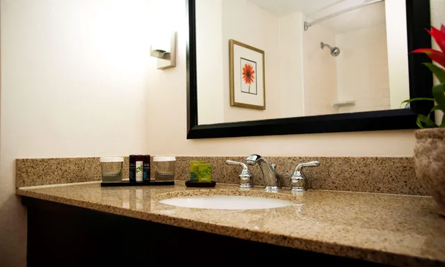 غرفة بسرير كينج بغرفة نوم واحدة، Embassy Suites by Hilton Memphis East Germantown Area 1/1