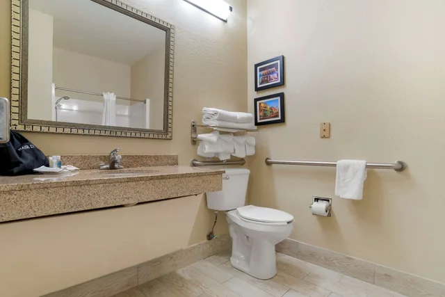 جناح بسرير كينج مع أريكة لذوي الإعاقة، Comfort Suites Daphne - Mobile East Bay 8/10