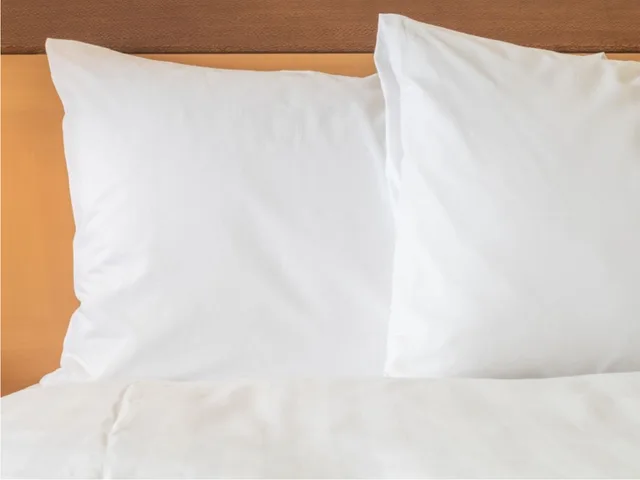 غرفة قياسية، Holiday Inn Express & Suites MAZATLAN 1/1