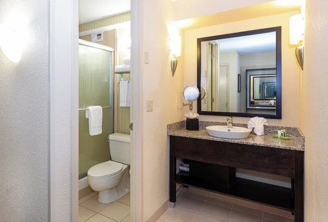غرفة بريميوم بسرير كينج، Holiday Inn St Louis Arpt West Earth City 5/5