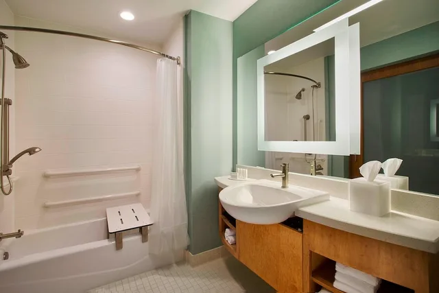 استوديو بسرير كينج مع أريكة لذوي الإعاقة، Springhill Suites Houston Downtown/Convention Center 3/3