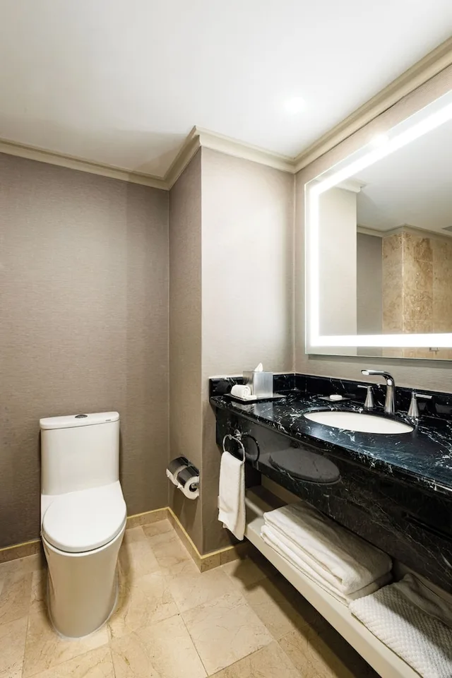 غرفة قياسية بسرير كينج، Hilton Princess San Pedro Sula 9/9