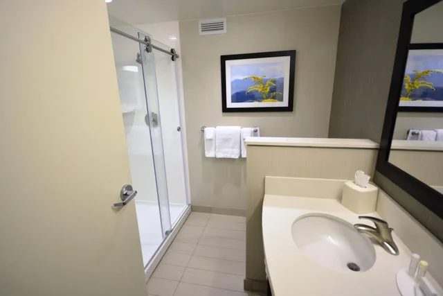 غرفة بسرير كينج بإطلالة على الجبل، Courtyard by Marriott Asheville Airport 5/7
