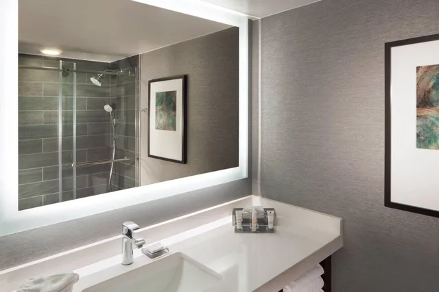 Bi Level, Suite, King Bed, Sofa، Omaha Marriott 2/3