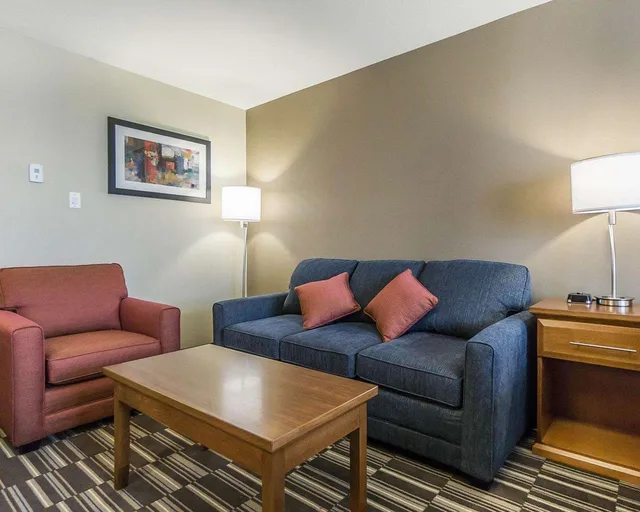 جناح بسرير كينج، Comfort Inn & Suites Edmonton International Airport 1/3