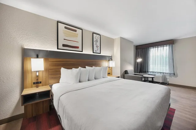 جناح ديلوكس بسرير كينج، Hawthorn Extended Stay by Wyndham Nashville Airport/Opryland 1/4