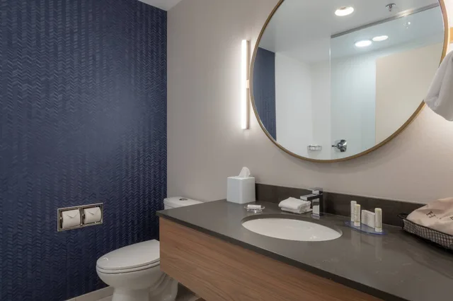 Room, King Bed, Fairfield Inn & Suites by Marriott Revelstoke 9/10