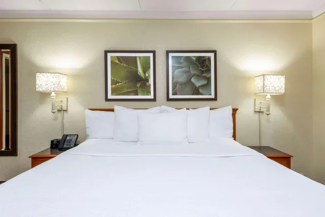 Executive, King Bed, La Quinta Inn by Wyndham Deerfield Beach I-95 at Hillsboro E 4/6