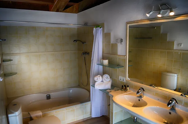Apartment, Suite, Futon Bed, King Bed, Sofa، Hotel Restaurant Spa Mas Ses Vinyes 5/5