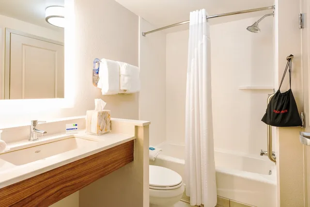 1 Bedroom, Suite, King Bed, Sofa, Holiday Inn Express Charleston US Hwy 17 & I-526 6/7
