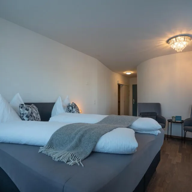 غرفة كبيرة بسرير مزدوج، Hotel B&B Stossplatz 1/3