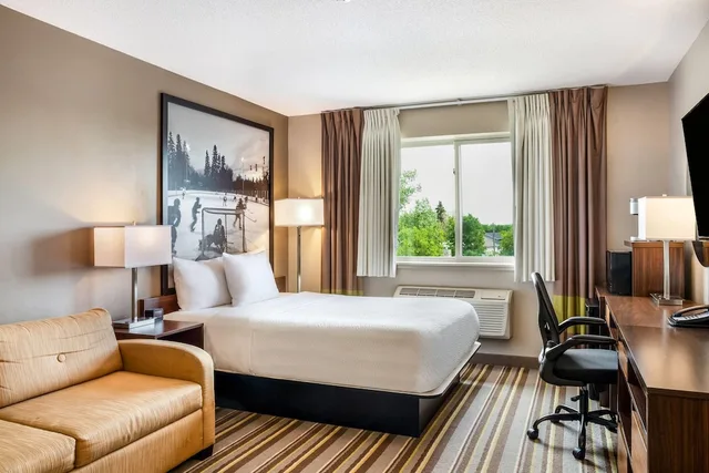 Business, Queen Bed, Super 8 by Wyndham Winnipeg West 1/6