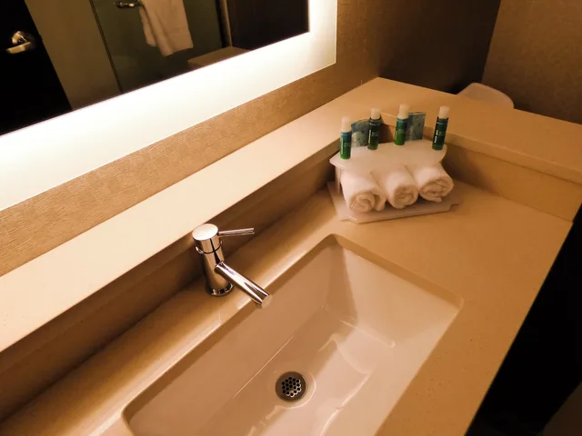 غرفة قياسية بسرير كينج، Holiday Inn Express And Suites Plymouth Ann Arbor Area 6/6