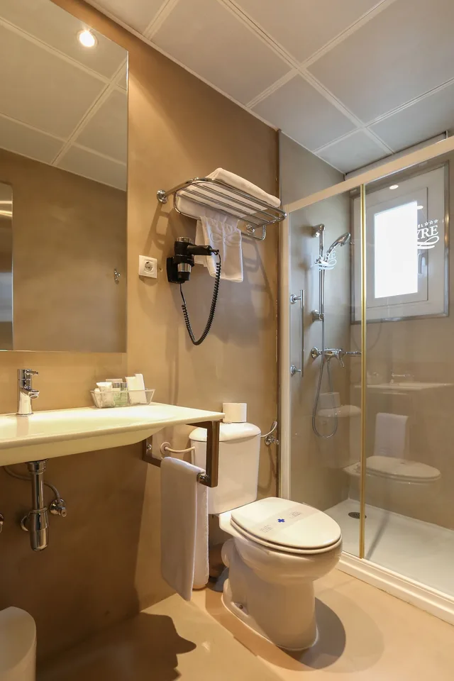 غرفة قياسية بسريرين منفصلين، Hotel Sercotel Leyre 9/10