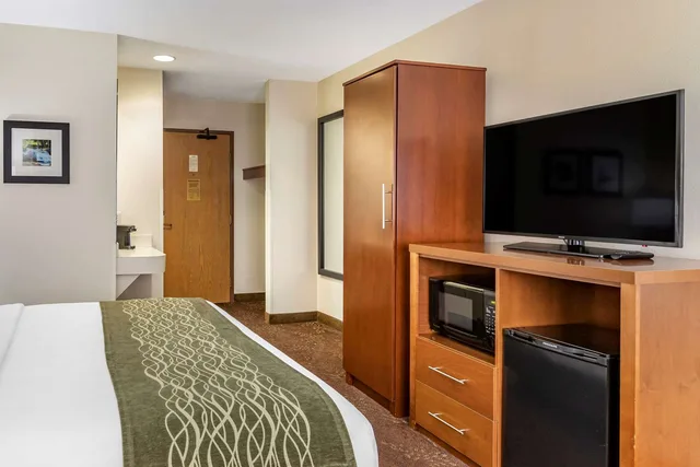 غرفة بسرير كينج، Comfort Inn Okemos - East Lansing 3/3